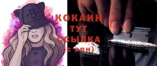 прущие грибы Ростов