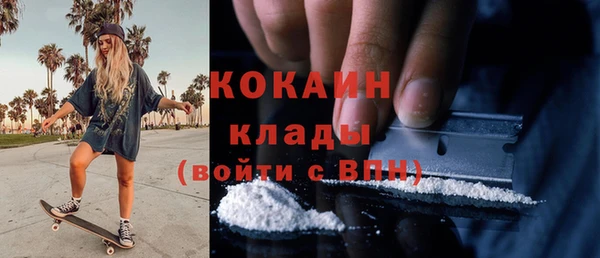 дживик Кулебаки