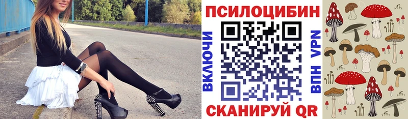 Галлюциногенные грибы GOLDEN TEACHER  цены наркотик  Чебаркуль 