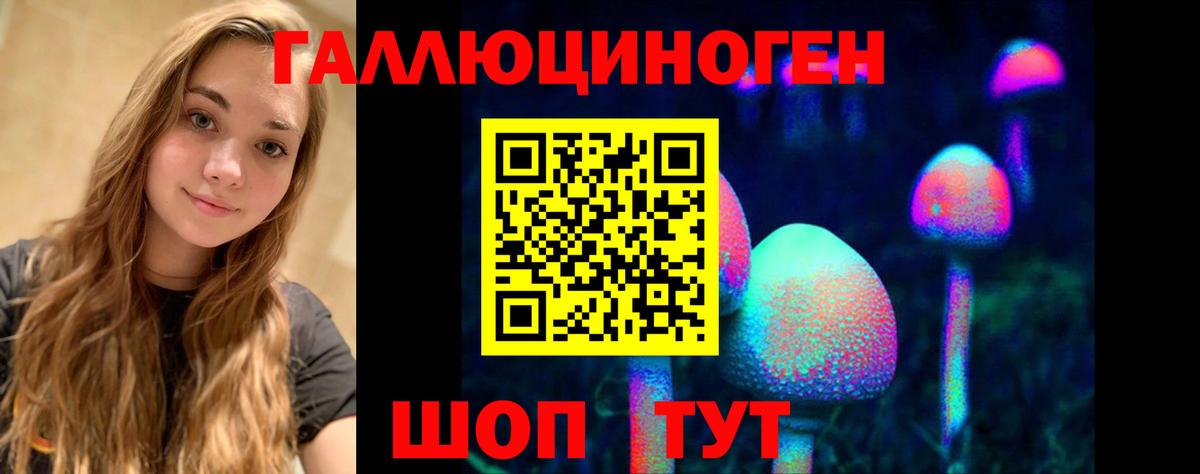 Чебаркуль  наркошоп  Вход с VPN  Псилоцибиновые грибы Cubensis 